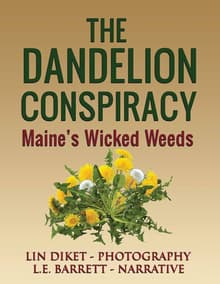 Book cover of The Dandelion Conspiracy: Maine's Wicked Weeds