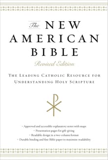 Book cover of The New American Bible