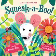 Book cover of Squeak-a-boo!