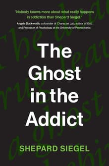 Book cover of The Ghost in the Addict