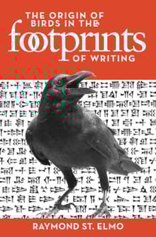 Book cover of The Origin of Birds in the Footprints of Writing