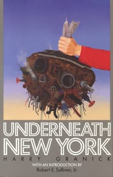 Book cover of Underneath New York