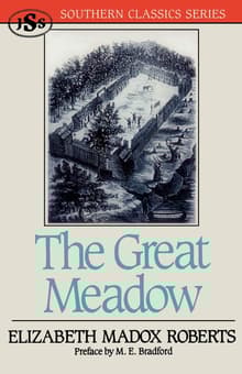 Book cover of The Great Meadow