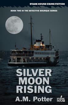 Book cover of Silver Moon Rising