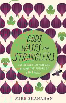 Book cover of Gods, Wasps and Stranglers: The Secret History and Redemptive Future of Fig Trees