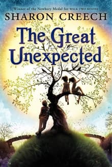 Book cover of The Great Unexpected