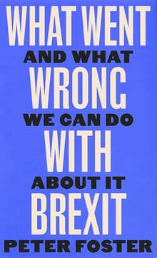 Book cover of What Went Wrong With Brexit: And What We Can Do About It