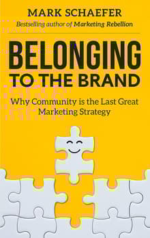Book cover of Belonging to the Brand