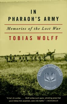 Book cover of In Pharaoh's Army: Memories of the Lost War