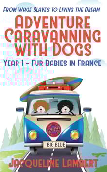 Book cover of Year 1 - Fur Babies in France