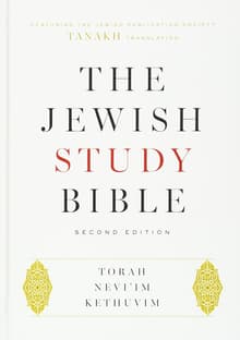 Book cover of The Jewish Study Bible