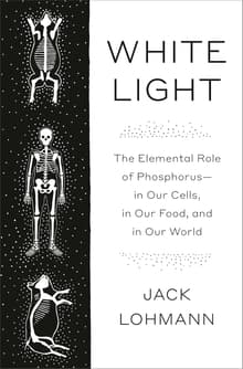 Book cover of White Light