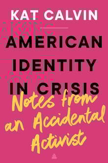 Book cover of American Identity in Crisis: Notes from an Accidental Activist