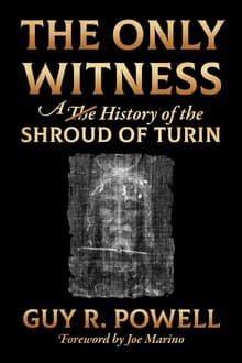 Book cover of The Only Witness