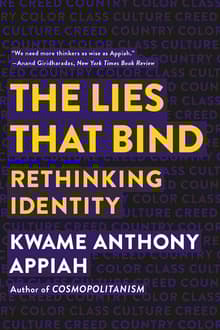 Book cover of The Lies That Bind: Rethinking Identity