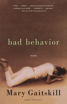 Book cover of Bad Behavior: Stories