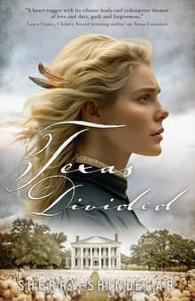 Book cover of Texas Divided