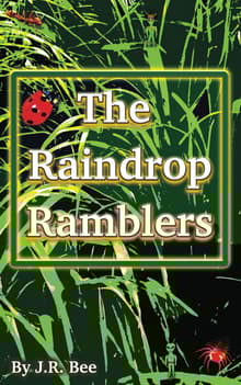 Book cover of The Raindrop Ramblers