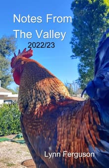 Book cover of Notes From The Valley