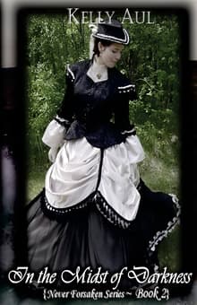 Book cover of In the Midst of Darkness