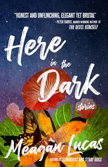 Book cover of Here in the Dark