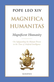 Book cover of Magnifica Humanitas
