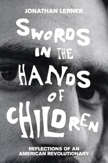 Book cover of Swords in the Hands of Children
