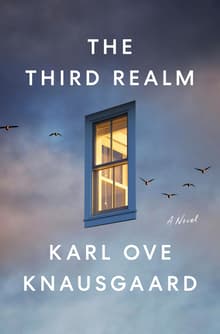 Book cover of The Third Realm