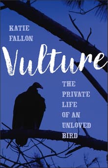 Book cover of Vulture
