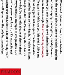 Book cover of The Art of Looking Sideways