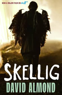 Book cover of Skellig