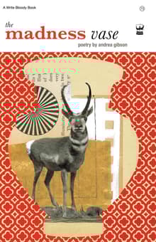 Book cover of The Madness Vase