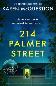 Book cover of 214 Palmer Street