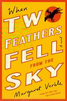 Book cover of When Two Feathers Fell from the Sky