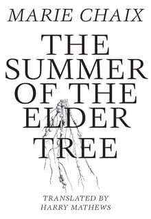 Book cover of The Summer of the Elder Tree
