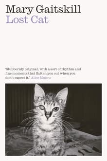 Book cover of Lost Cat
