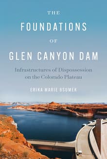 Book cover of The Foundations of Glen Canyon Dam
