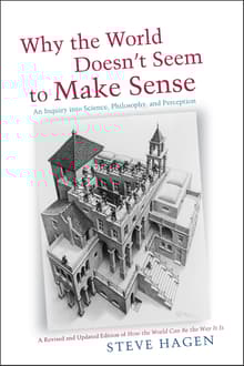 Book cover of Why the World Doesn't Seem to Make Sense: An Inquiry Into Science, Philosophy and Perception