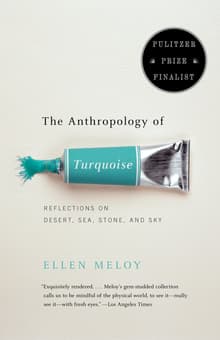 Book cover of The Anthropology of Turquoise: Reflections on Desert, Sea, Stone, and Sky