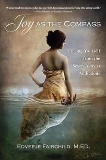 Book cover of Joy as the Compass