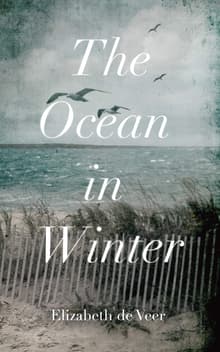 Book cover of The Ocean in Winter