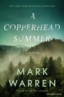Book cover of A Copperhead Summer