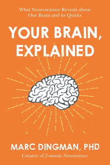 Book cover of Your Brain, Explained