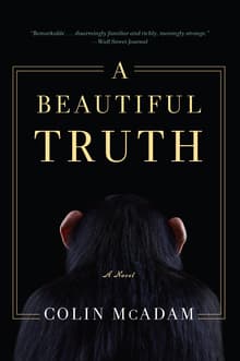 Book cover of A Beautiful Truth
