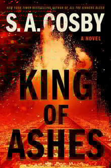 Book cover of King of Ashes