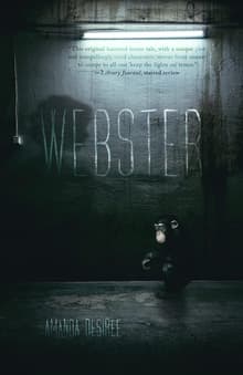 Book cover of Webster