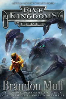 Book cover of Sky Raiders