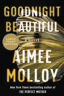 Book cover of Goodnight Beautiful