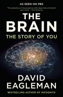 Book cover of The Brain: The Story of You