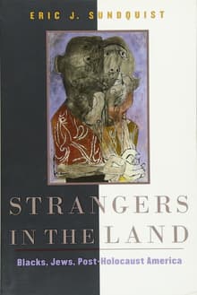 Book cover of Strangers in the Land: Blacks, Jews, Post-Holocaust America